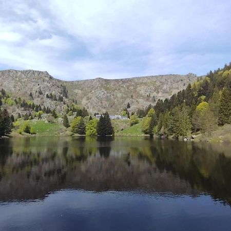 Aux Balcons De La Vallee Soultzeren Værelse billede