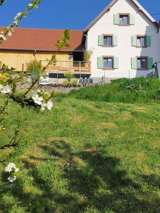 Aux Balcons De La Vallee Soultzeren Eksteriør billede