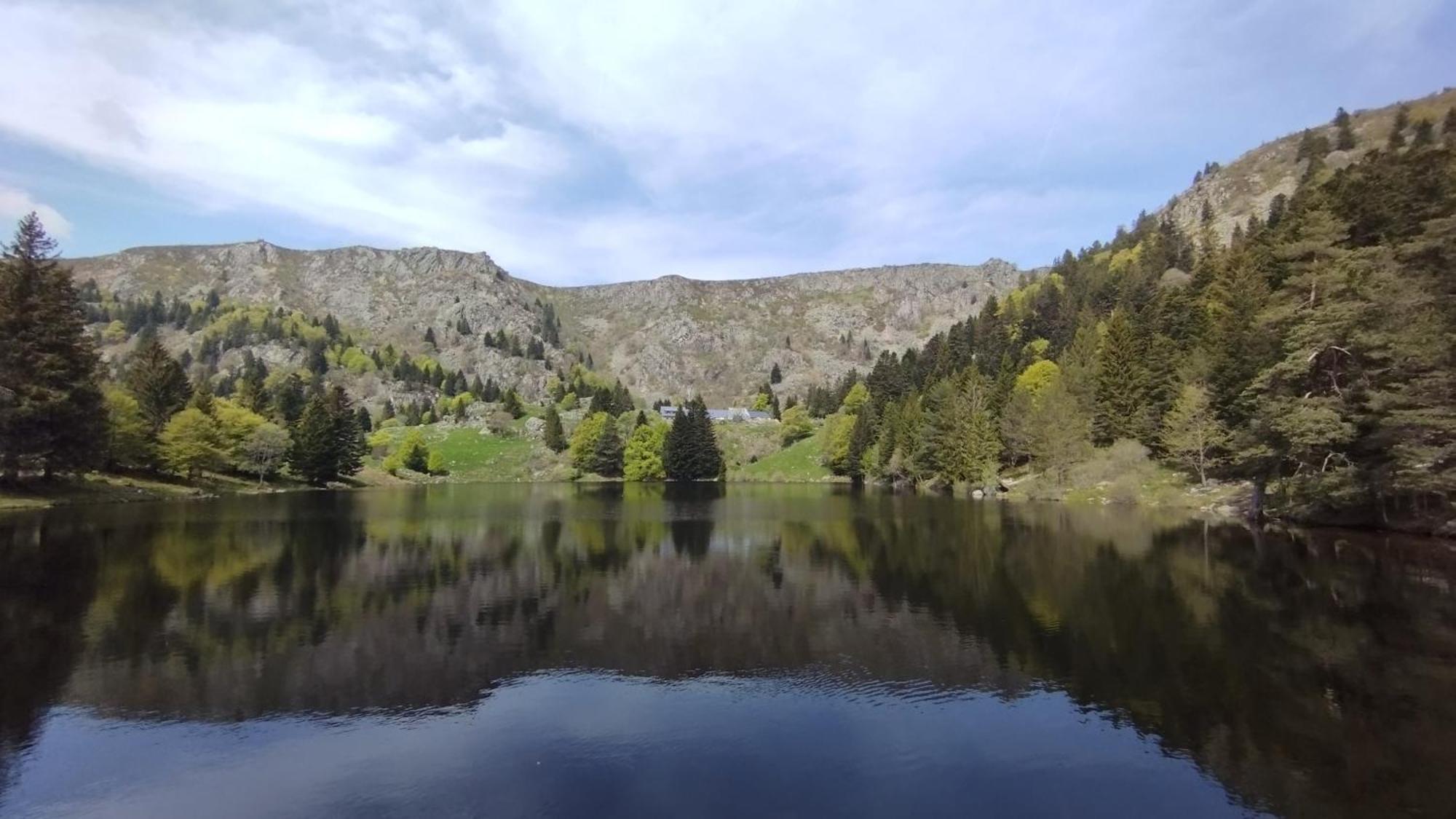 Aux Balcons De La Vallee Soultzeren Værelse billede